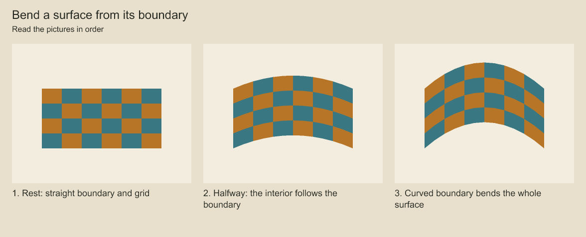The woven grid follows the curved upper and lower edges. The side endpoints stay fixed.