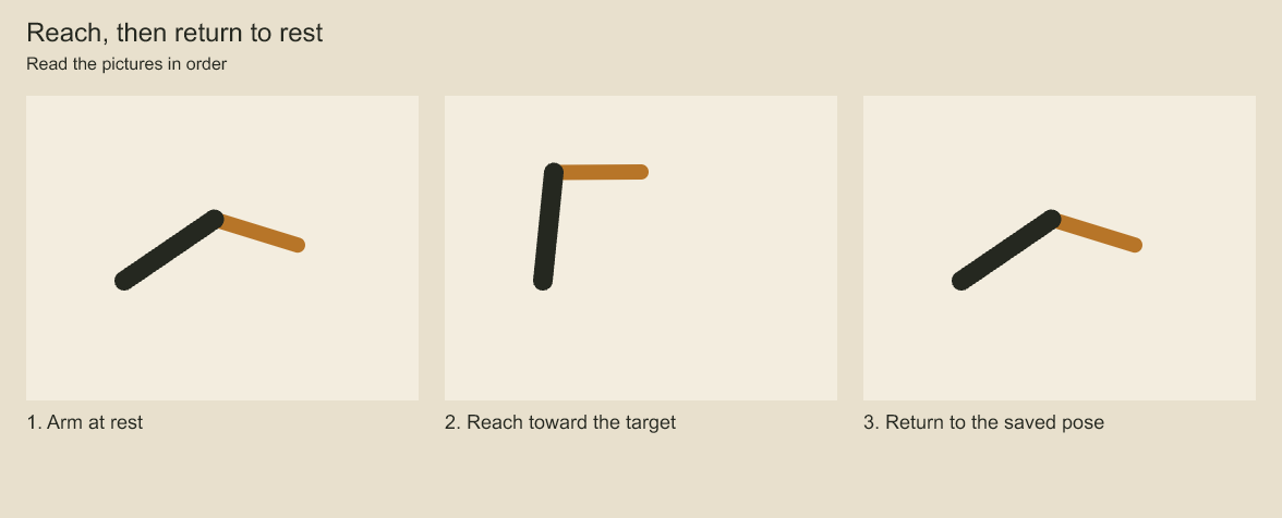 Compare the first and last arm positions. The middle picture shows the reach; the last restores the saved rest pose.